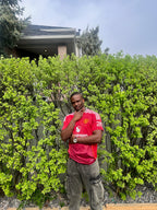 Manchester United Home 24/25
